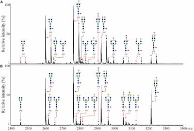 Immunoglobulin G Subclass-Specific Glycosylation Changes in Primary Epithelial Ovarian Cancer